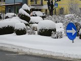 Wintereinbruch - 11.jpg